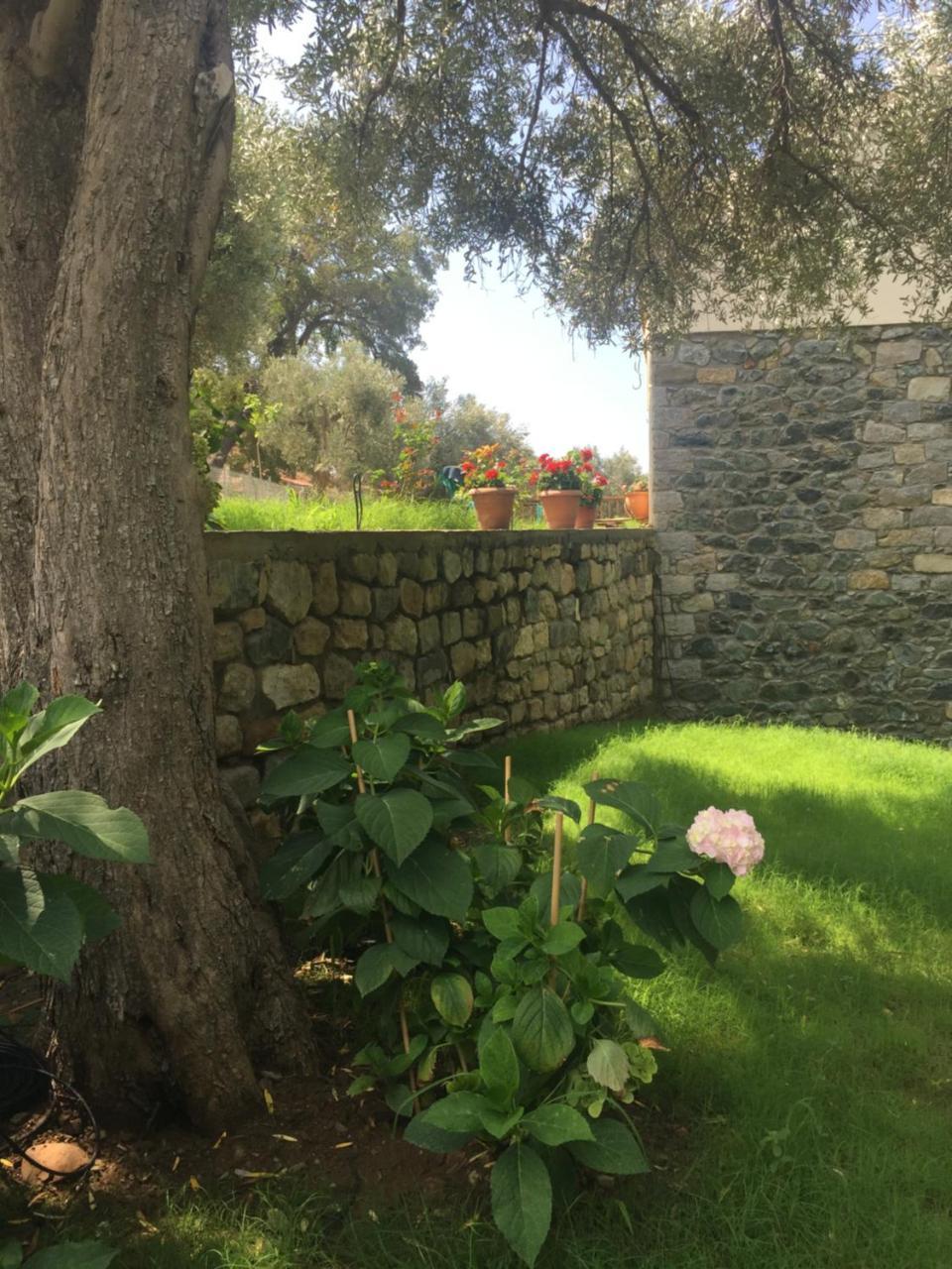 Samothraki Suites Kalisti Xiropotamos Exterior photo